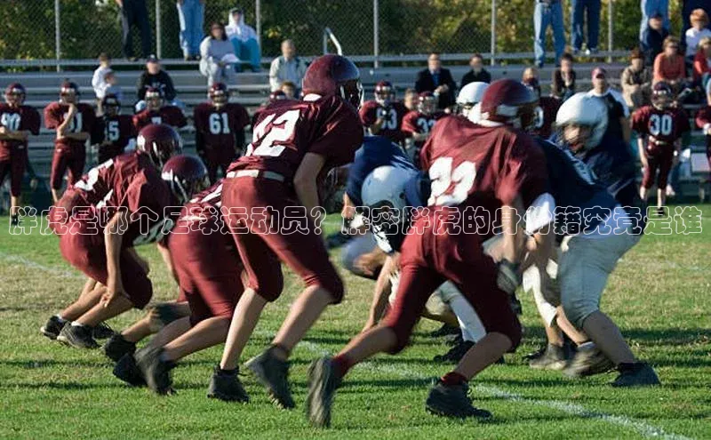 NG.28.66百度集团胖虎是哪个足球运动员？解密胖虎的身份籍究竟是谁