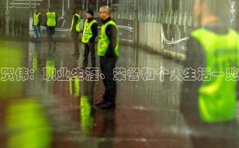 南宫c7官方网站入口注册小红书贺伟：职业生涯、荣誉和个人生活一览