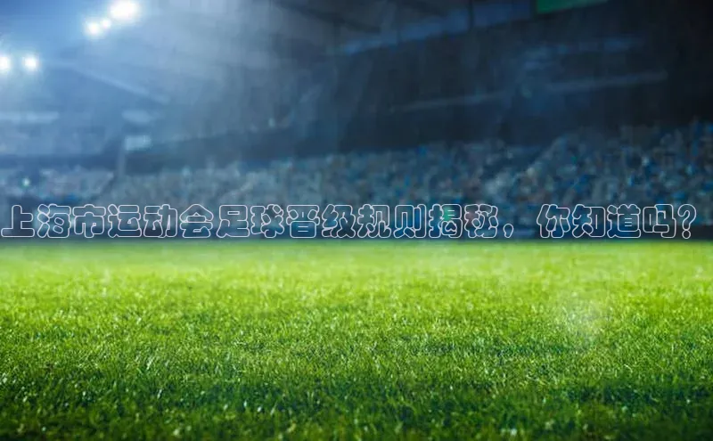 南宫28NG相信品牌力量百度健康上海市运动会足球晋级规则揭秘，你知道吗？