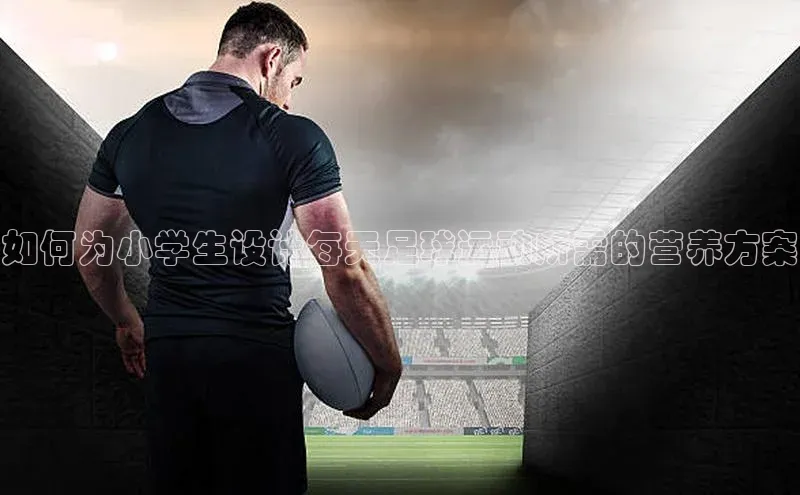 南宫注册入口官网注册ARGA公司如何为小学生设计每天足球运动所需的营养方案