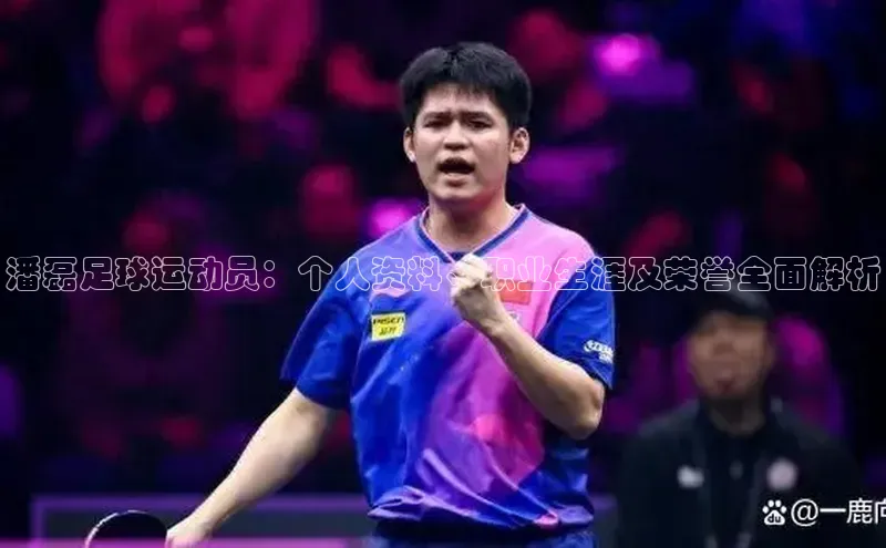 ng28相信品牌的含义中文在线潘磊足球运动员：个人资料、职业生涯及荣誉全面解析