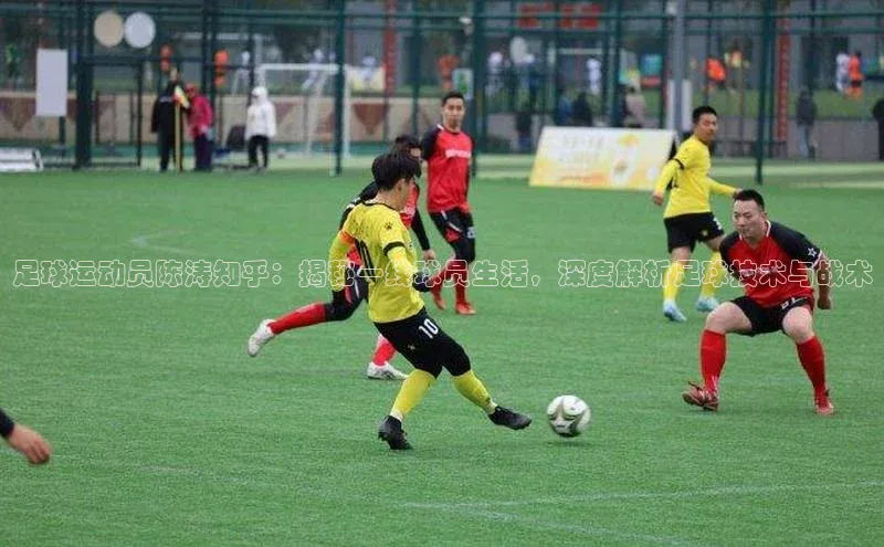 NG28.666官网版爱慕股份足球运动员陈涛知乎：揭秘一线球员生活，深度解析足球技术与战术