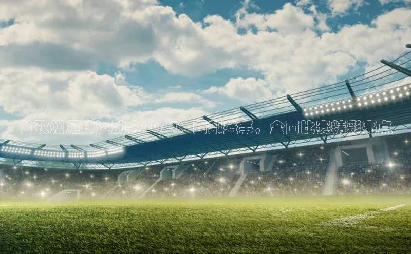 ng28相信品牌的力量网页天下秀甘孜州足球运动会2024：西部盛事，全面比赛精彩亮点