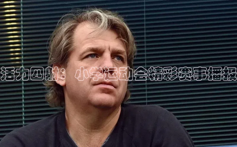 活力四射：小学运动会精彩赛事播报