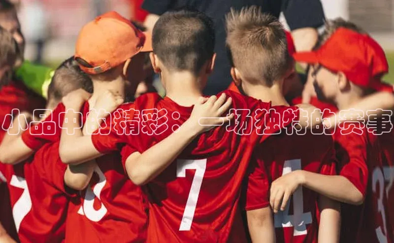 小品中的精彩：一场独特的赛事