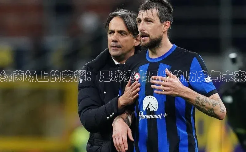 绿茵场上的荣耀：足球赛事品牌的历史与未来