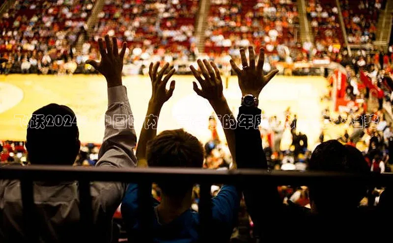 飞跃2024：中国国内体育赛事的年度盛况与未来趋势