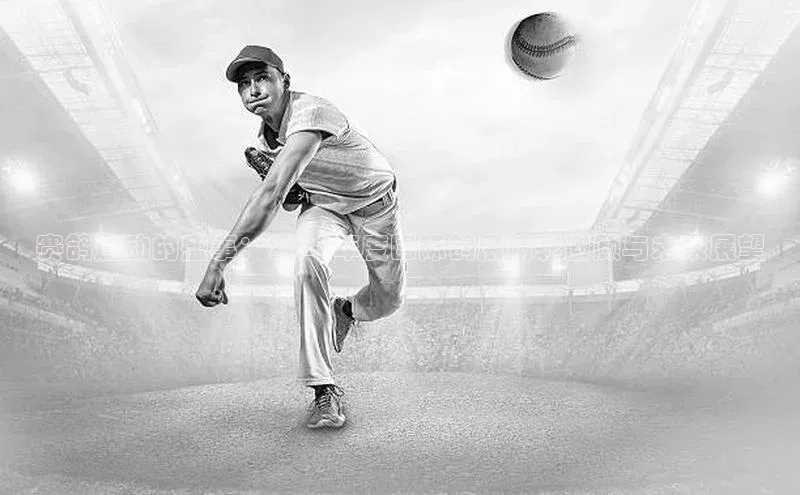 赛鸽运动的盛事：2023年度国际鸽展精彩回顾与未来展望