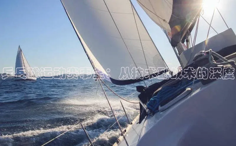 乒乓球运动赛事全：从技术到战术的深度