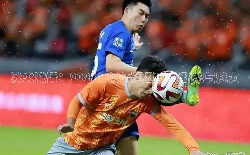 冰火激情：2023年冰雪运动赛事动态与魅力