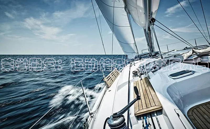 荣誉殿堂：运动馆赛事证书展示与