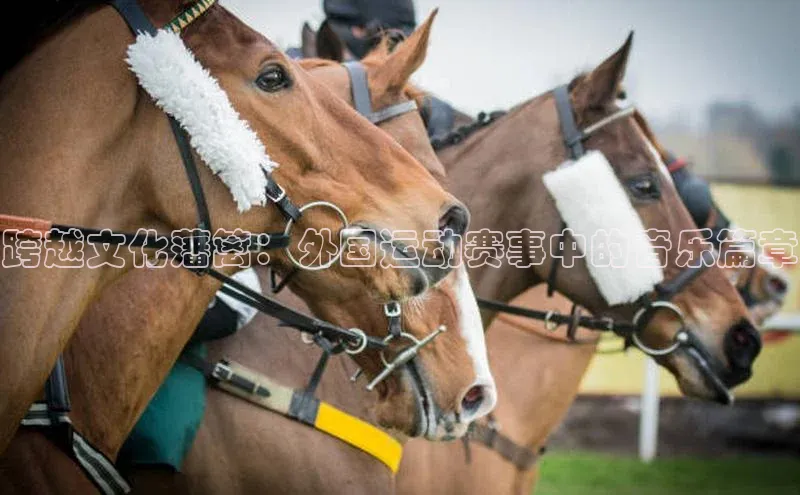跨越文化藩篱：外国运动赛事中的音乐篇章