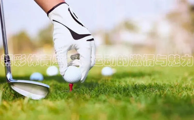 精彩体育盛事：运动的激情与魅力