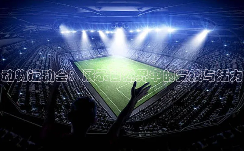 动物运动会：展示自然界中的竞技与活力
