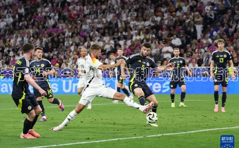 亲子运动会：设计与制定规则的指南