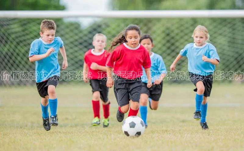 价值极高的体育竞技：顶级运动品牌的独特魅力与影响力