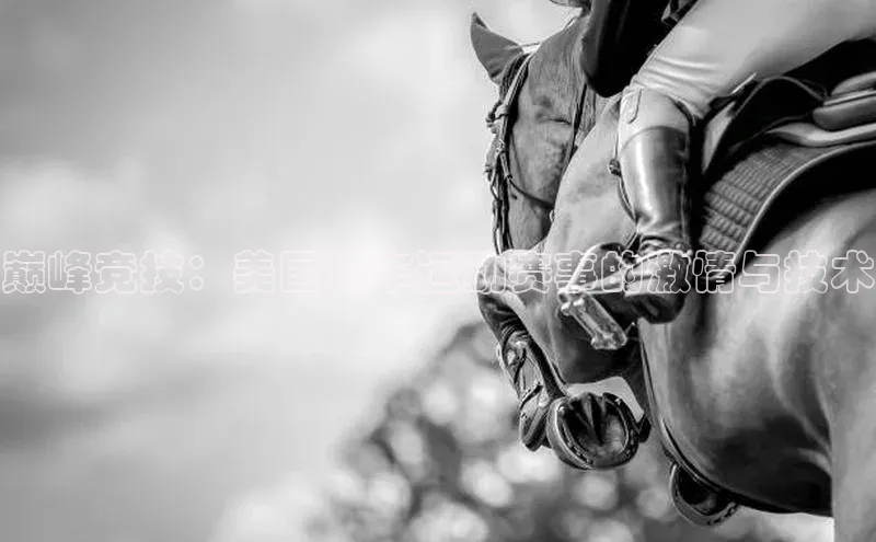 巅峰竞技：美国汽车运动赛事的激情与技术