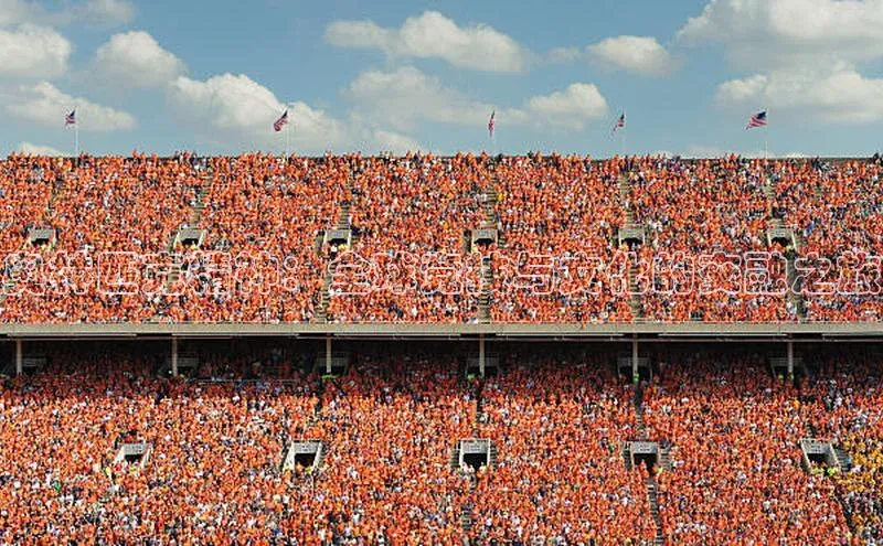 奥林匹克精神：全球竞技与文化的交融之旅