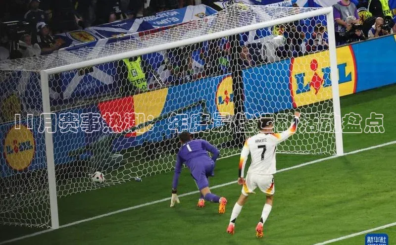 11月赛事热潮：年度最佳运动活动盘点