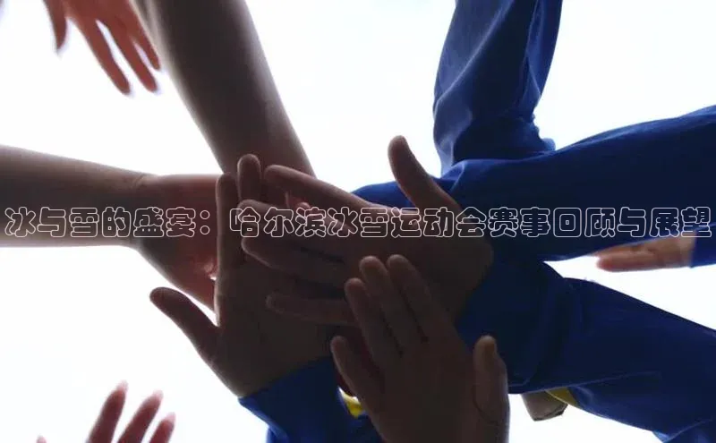 冰与雪的盛宴：哈尔滨冰雪运动会赛事回顾与展望