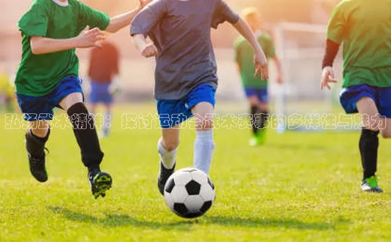 弘扬武术精神：探讨运动会武术赛事的多样性与魅力