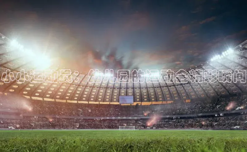 ng28官网入口注册