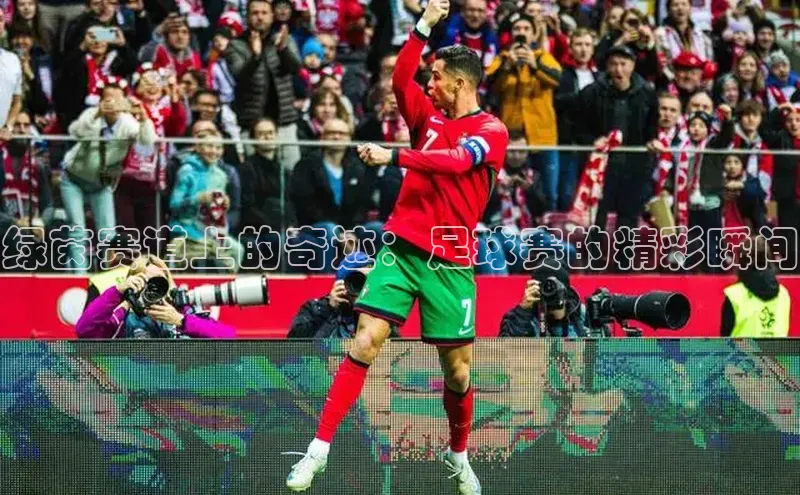 南宫28娱乐相信品牌的力量