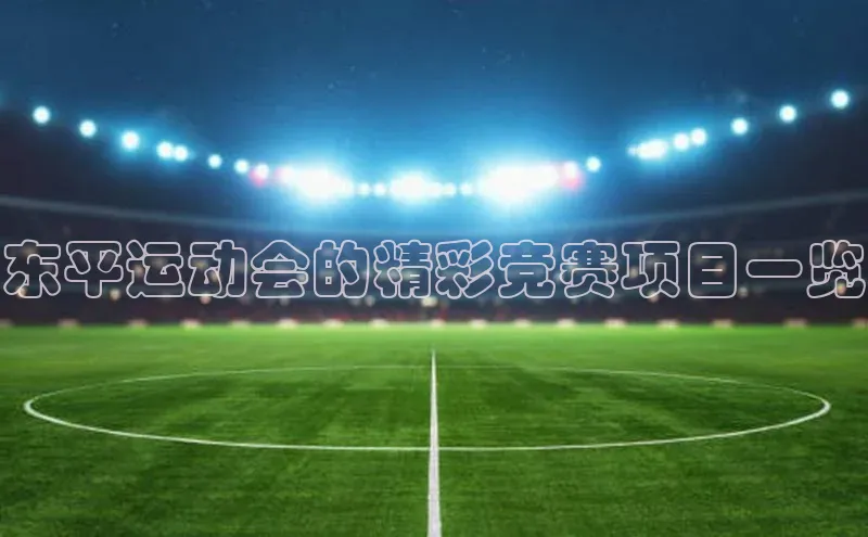 东平运动会的精彩竞赛项目一览